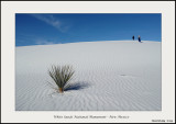 White Sands NP - New Mexico