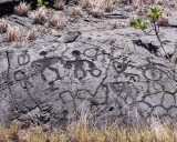 Petroglyphs. Hawaii Volcanoes National Park.