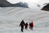 Glacier Hike - Wrangell-St.Elias NP