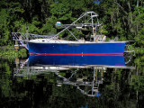 Blue Cruiser