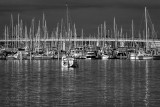 Ortega Yacht Club Marina