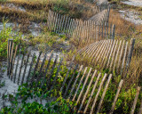 Fences and Foliage