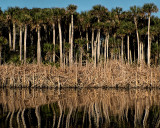 Guana Lake 2014 2.jpg