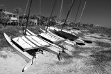 Hobie Cats