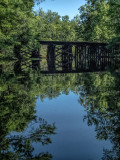 Lofton Creek April 2014 #11