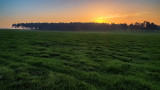 Pasture at Sunrise