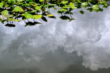 Lake Mirror Under Cloudy Skies II