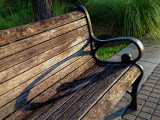 Riverwalk Bench
