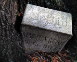 Marker and Tree