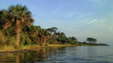 South End of Guana Lake