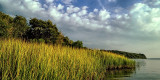 Grassy Banks