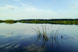 Upper Guana Lake #2