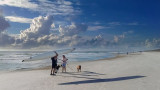 Boat and Dogs