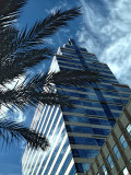 Fronds and Tower