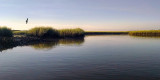 Guana River at Daybreak
