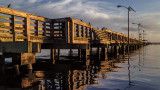 Shands Pier