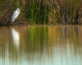 North Guana Lake #7