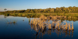 Dawn on Guana Lake #2