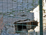 More excavation of the forum ruins