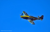 K5H6379.jpg