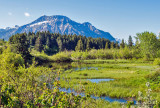 IGP0253-Waterton Lakes National Park.jpg