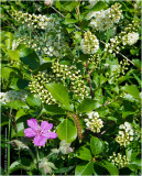 IGP0684.jpg