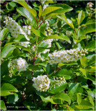 IGP0688.jpg