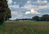 IGP2611.jpg