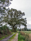 IGP3608.jpg