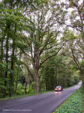 IGP3612.jpg