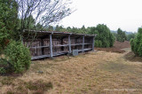 IGP3750.jpg