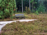 IGP3777.jpg