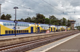 IGP3257.jpg
