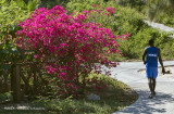 IMP0356-Labadee Haiti.jpg