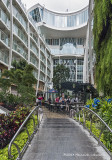 IMP0258-Central Park.jpg