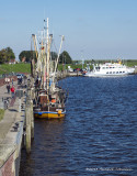 IGP5165.jpg