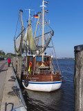 IGP5221.jpg