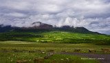 K5H8269-Waterton Lakes National Park.jpg