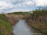 IMP1917-Crooked Creek Campground.jpg