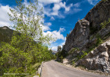 IMP2336-Waterton Lakes National Park.jpg