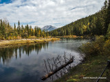 IMP3017-Kananaskis.jpg