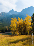 IMP3086a-Kananaskis.jpg