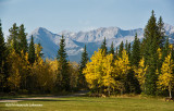 K3B2431-Kananaskis.jpg