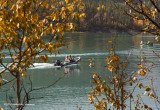 K3B2523-Kananaskis.jpg