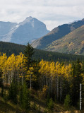 K3B2559-Kananaskis.jpg