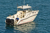 K3B6483.jpg