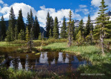 IMP7518-Waterton Lakes National Park.jpg