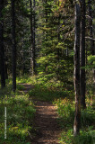 K3B9748-Waterton Lakes National Park.jpg