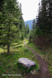 K5H9879-Waterton Lakes National Park.jpg