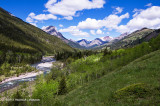 K5I0679-Waterton Lakes National Park.jpg